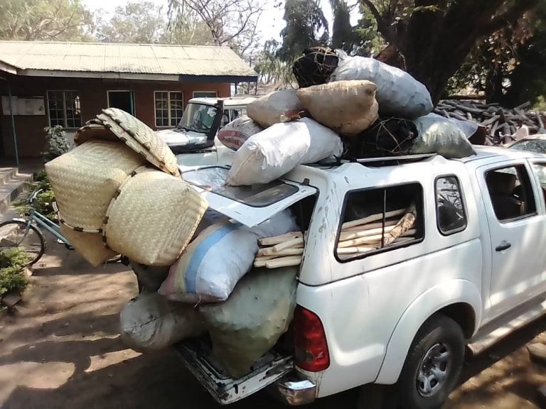 Charcoal Burning Worries Forestry Office