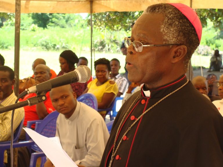 Chikwawa Diocese Launches Website