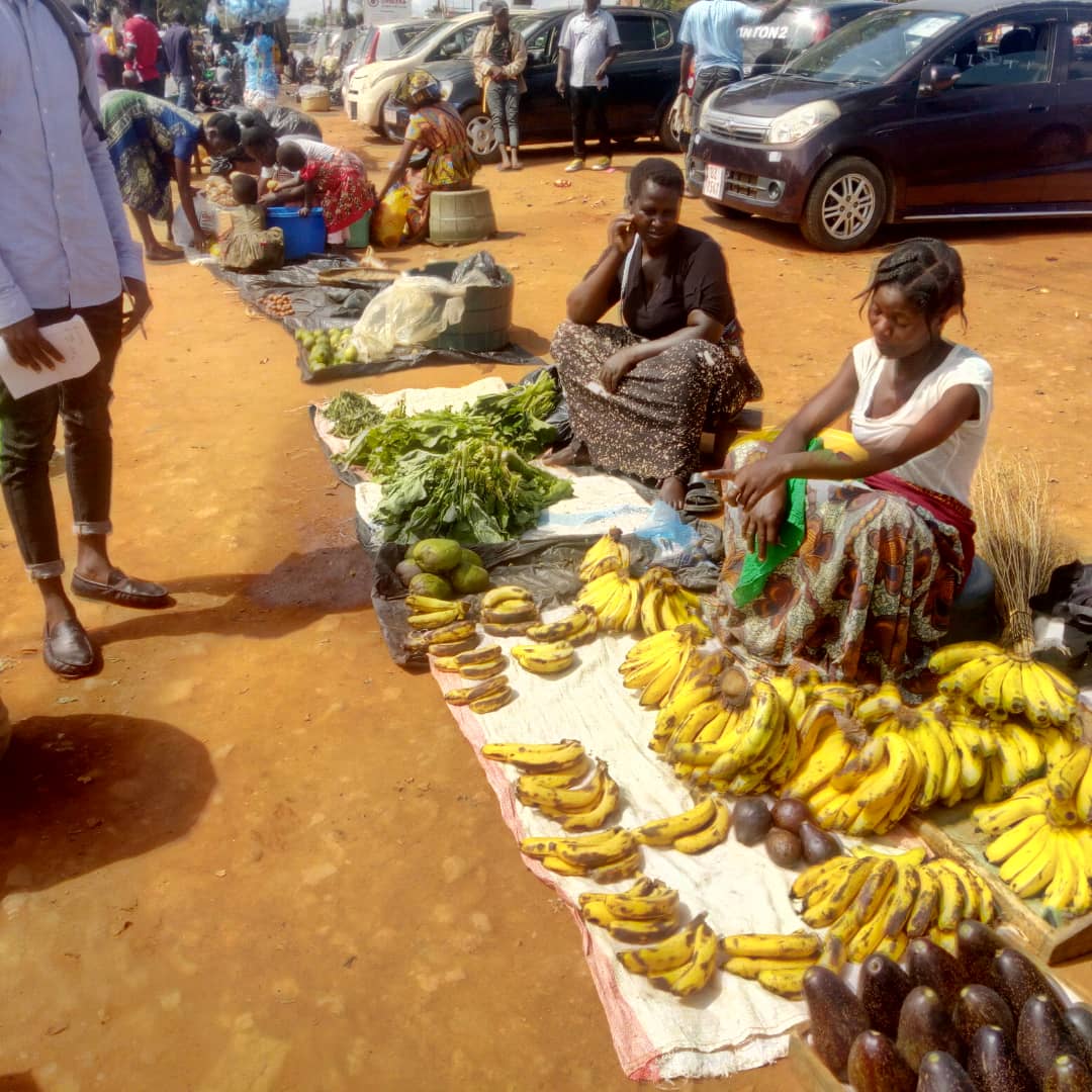 LILONGWE INFORMAL TRADERS CHALLENGE EVICTION, CONFISCATION OF GOODS ...